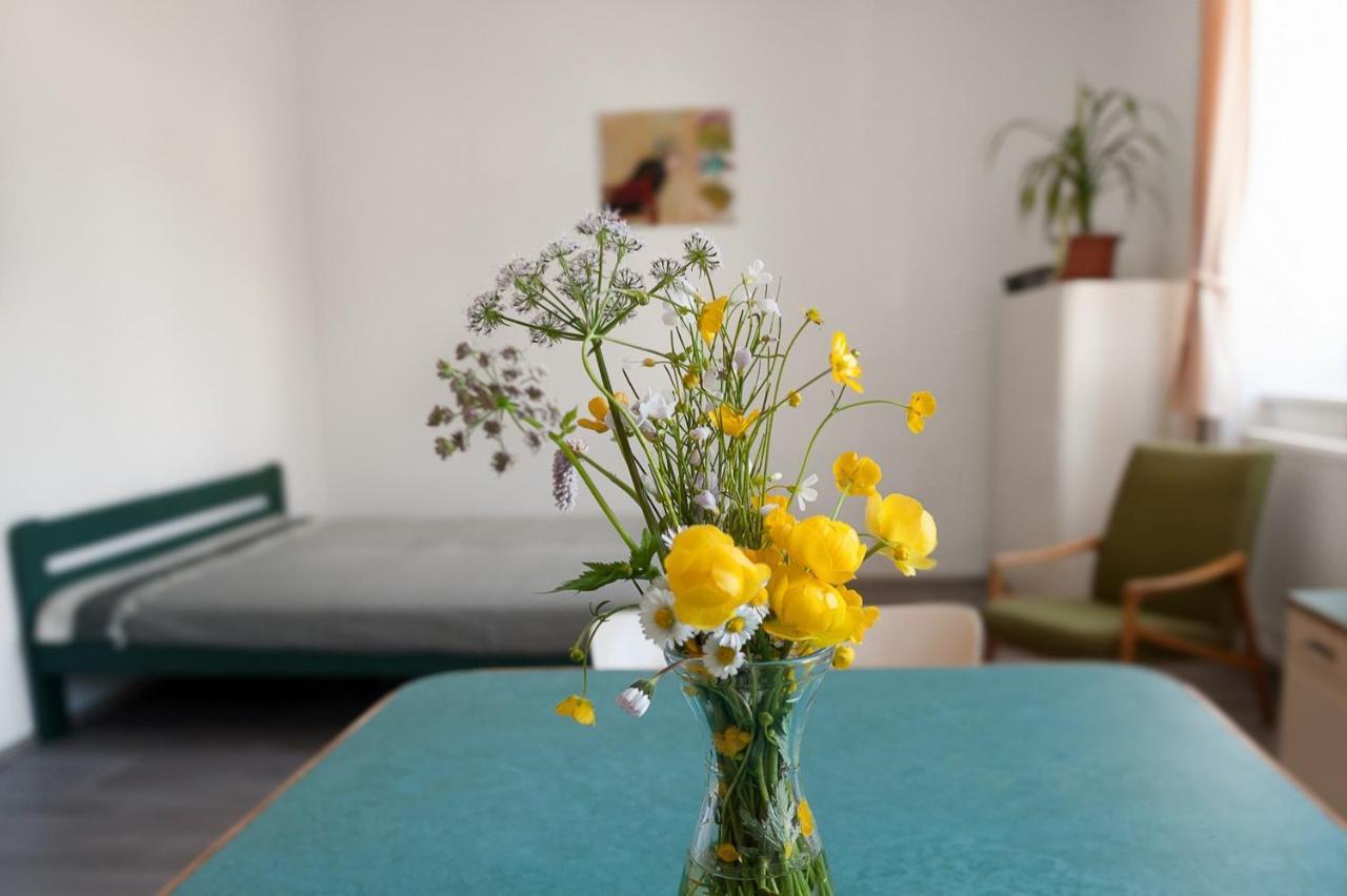 Apartmany16 Apartment Olesnice v Orlickych horach