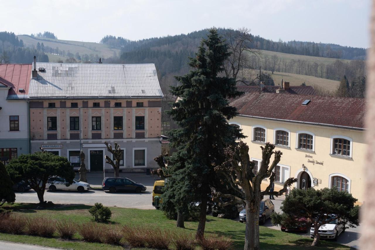 Apartment Apartmany16 Olesnice v Orlickych horach